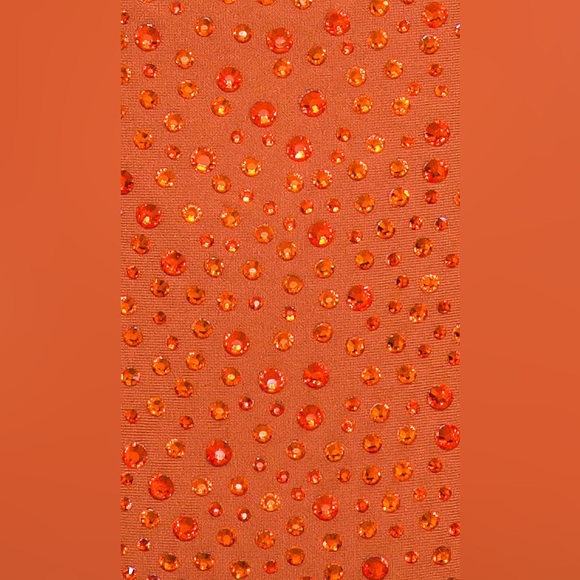 Cult Gaia Raven Bikini Bottom (medium) in Amber revolve - Picture 7 of 11